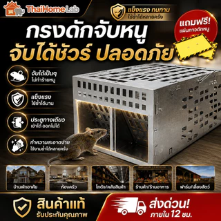 กับดักหนูสองประตู กับดักหนู กรงดักหนู กรงดักหนูอัตโนมัติ โรงงานราคาส่งโรงงานราคาถูกรับประกันของแท้ ที่ดักหนู กับดักหนูสำ