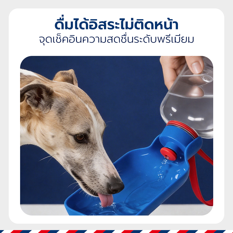Petstar زجاجة مياه للحيوانات بوعاء مدمج — صورة 3