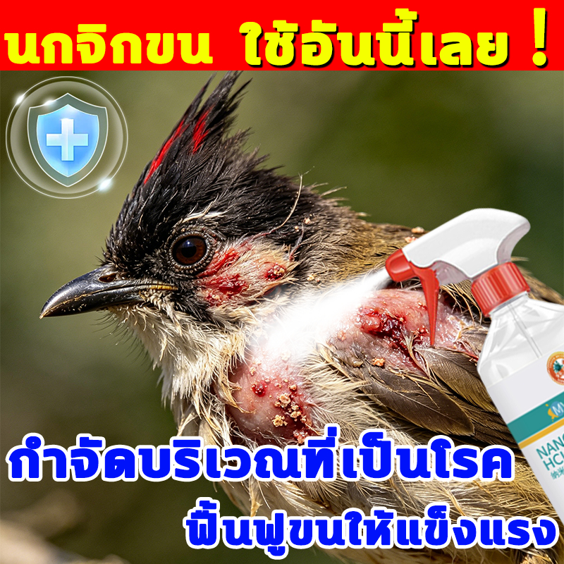โปรพิเศษ (พร้อมส่ง)สเปรย์อาบน้ำนก ไล่ไรนก ไล่หมัดนก ริ้น เรือด แก้อาการคัน ขนสวย ดับกลิ่นตัว เพิ่มความสดชื่น หอมสะอาด