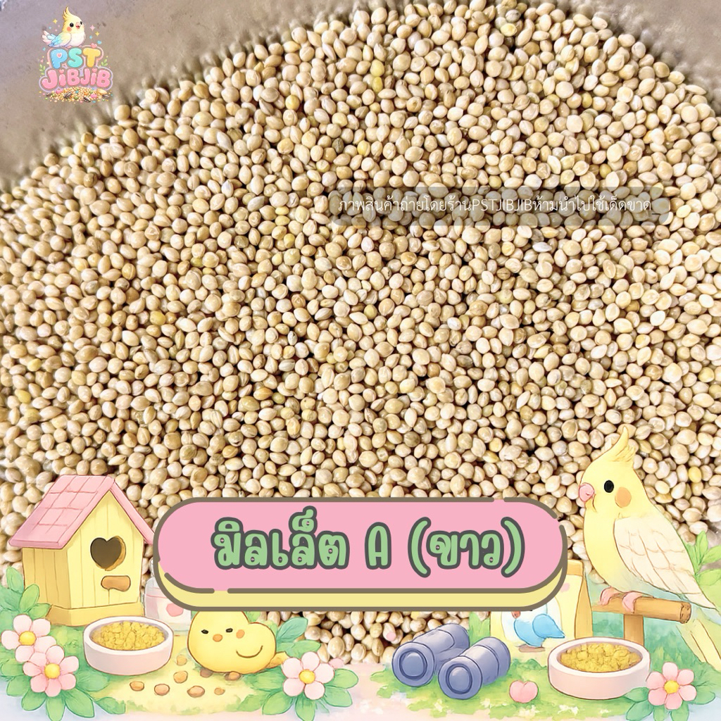 มิลเล็ต A มิลเล็ตขาวเกรดA  ขนาด 1 kg.