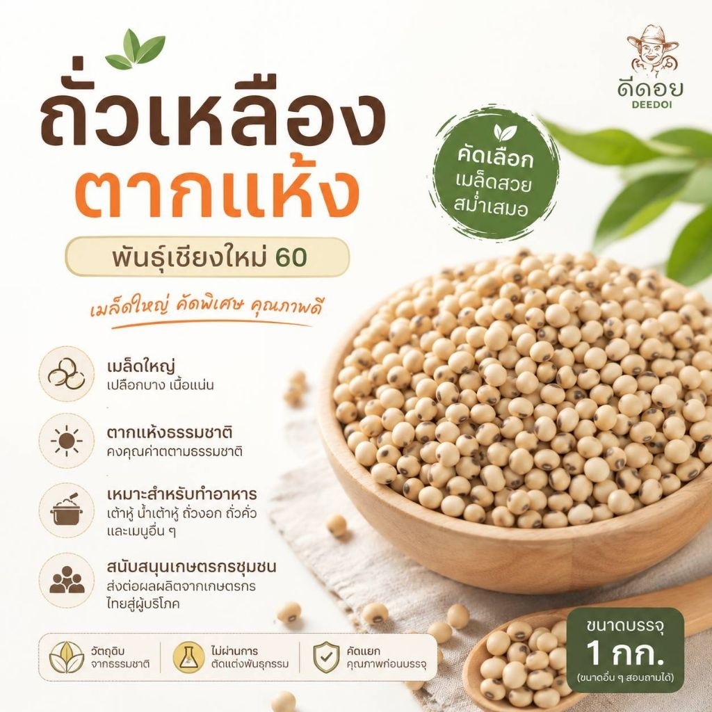 ถั่วเหลืองแห้ง 1 กก. พันธุ์เชียงใหม่ 60 สำหรับทำน้ำเต้าหู้ เต้าหู้ และเพาะถั่วงอก
