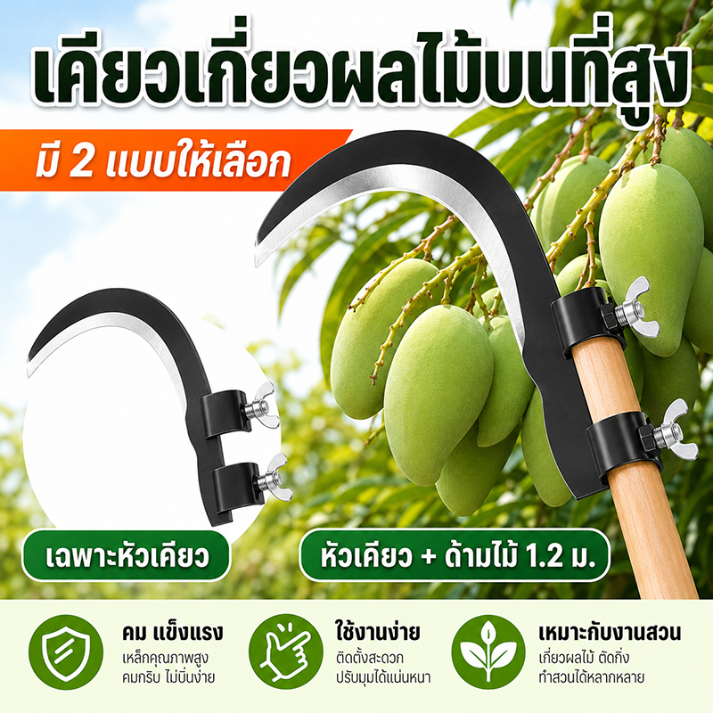 หัวเคียว มีดขอเกี่ยวมะพร้าว เคียวเกี่ยวผลไม้บนที่สูง ตัดกิ่งไม้ มีแบบหัวเดียว/พร้อมด้ามไม้ 1.2 ม.