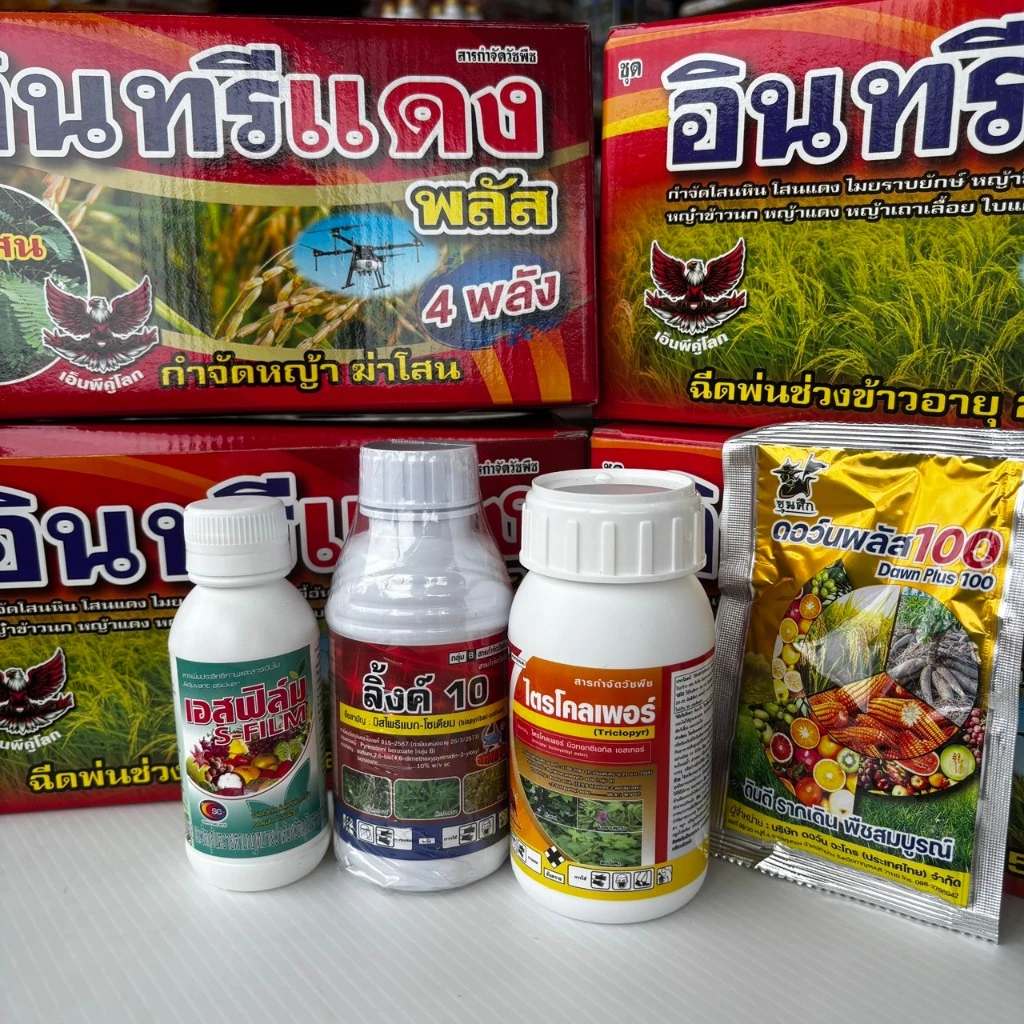 อินทรีแดงพลัส 4พลัง. ยาฆ่าหญ้าในนาข้าว 🌾 กำจัดหญ้าทุกชนิด ข้าวไม่แดง กลิ่นไม่เหม็น