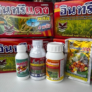 อินทรีแดงพลัส 4พลัง. ยาฆ่าหญ้าในนาข้าว 🌾 กำจัดหญ้าทุกชนิด ข้าวไม่แดง กลิ่นไม่เหม็น