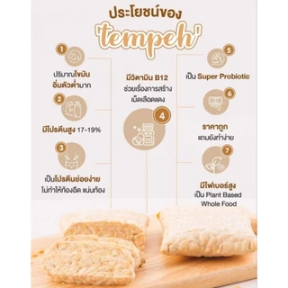 หัวเชื้อเทมเป้ อินโดแท้ ขนาด 250 กรัม / ขนาด100กรัม