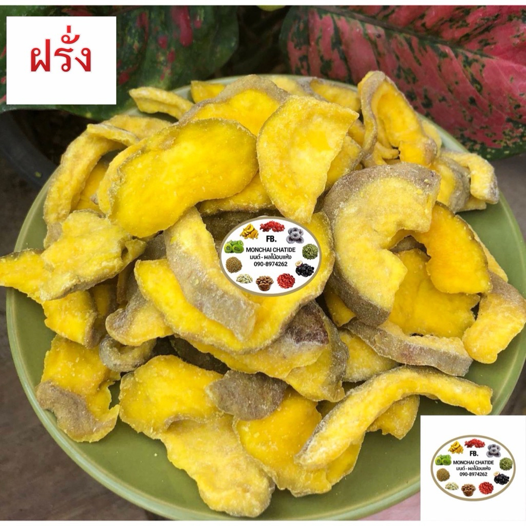 ฝรั่งชิ้นใหญ่  อบ 500 กรัม และ 1 กิโลกรัม พร้อมทาน