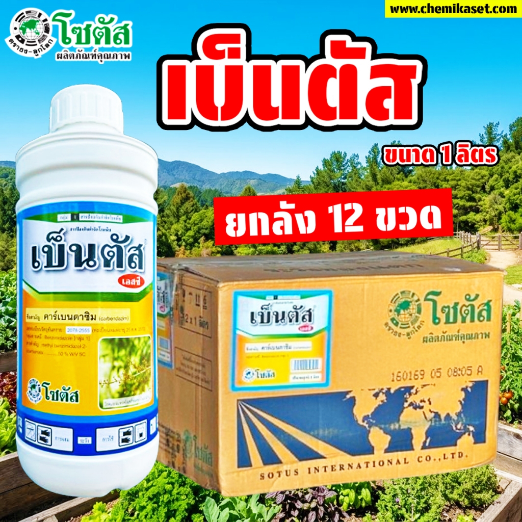 (ยกลัง12ขวด) เบ็นตัส เอสซี ขนาด 1 ลิตร คาร์เบนดาซิม ป้องกันกำจัดโรคพืช โรคกาบใบ โรคช่อดอดำ