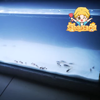 ทรายขาว (รวมค่าส่งแล้ว-รับหน้าร้าน)ตู้ปลา จัดสวน กระถางธูป 30 กิโลกรัม