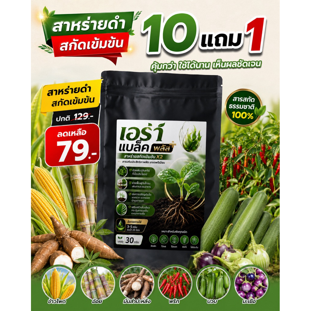 เอร่า แบล็ค พลัส สาหร่ายดำสกัดเข้มข้น สูตรเร่งโต ใบเขียว ลำต้นแข็งแรง เร่งราก เร่งใบ แตกยอดไว