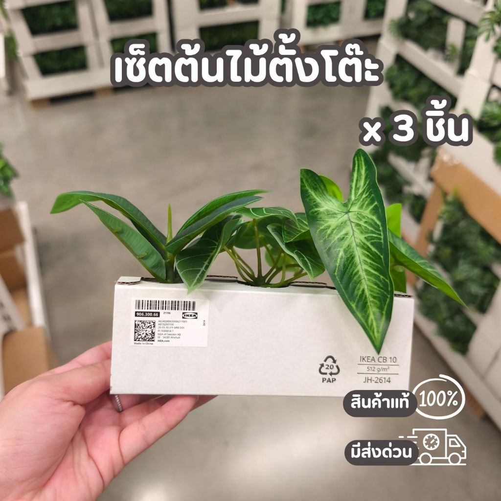IKEA ต้นไม้พร้อมกระถาง ต้นไม้ประดิษฐ์ ไซส์วางบนโต๊ะ ขนาดกระถาง 6 cm