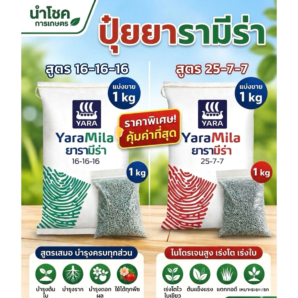 [แบ่งขาย 1-5 kg] ปุ๋ยยารามีร่า 16-16-16 / 25-7-7 / 46-0-0 (เม็ดใส) ปุ๋ยบำรุงต้น บำรุงใบ พืชแข็งแรง
