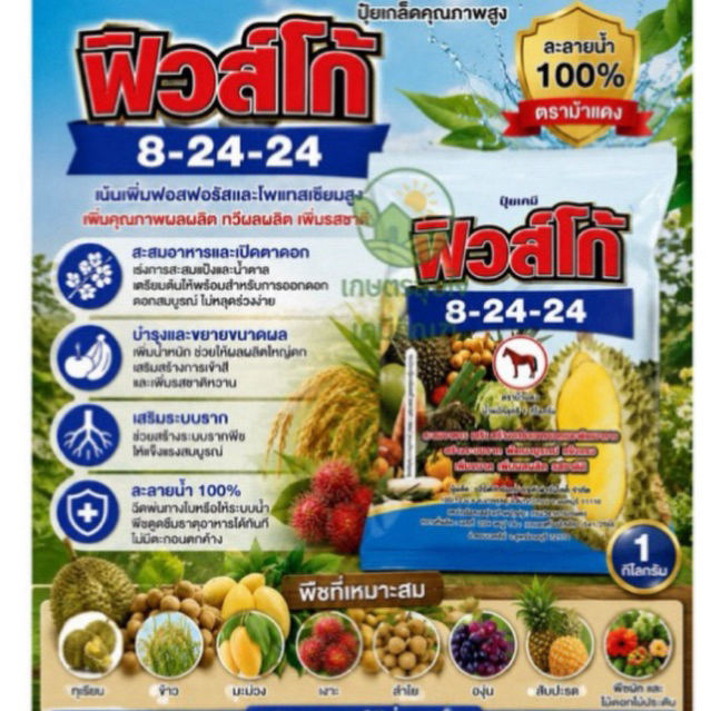ปุ๋ยเกร็ดฟิวส์โก้ 8-24-24 ยกลัง 12 กก. เร่งดอก เพิ่มน้ำหนักผลไม้ เพิ่มรสหวาน  สำหรับ ทุเรียน ข้าว มะม่วง เงาะ ลำไย องุ่น