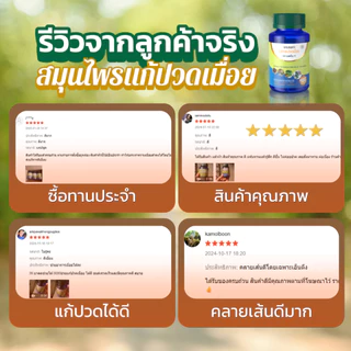 Mall-[ตะกล้าบริษัท] ยาบรรเทาอาการปวดเมื่อย ตราSN9 เถาว์เอ็นอ่อน เถาวัลย์เปรียง แก้ปวดเมื่อย ปวดเส้นเอ็น