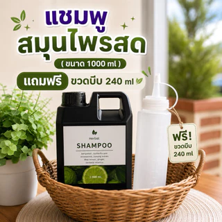 แชมพูสมุนไพรสด อัญชันสด สมุนไพรรวม 13ชนิด ขนาด 1,000 ml. แถมฟรีขวดบีบ