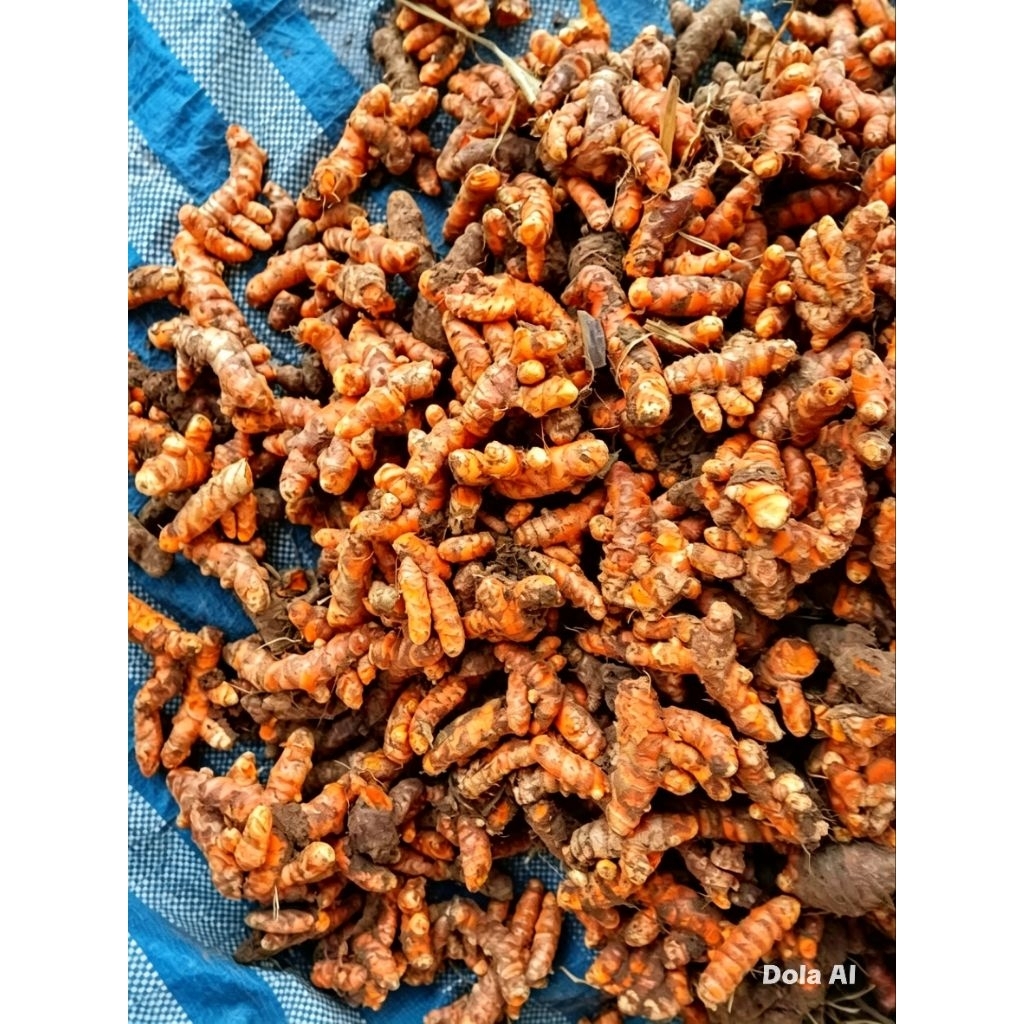ขมิ้น สดใหม่จากสวน ปลอดสาร100%