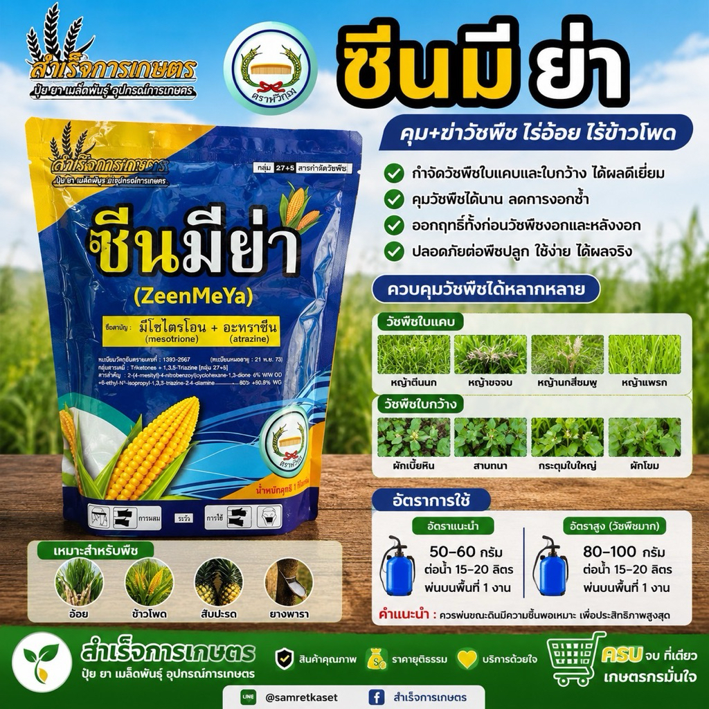 ซีนมิย่า (หวีทอง) มีไซไตรโอน + อะทราซีน8% 80.8% WG ชนิดเกล็ด ขนาด 1 กิโลกรัม