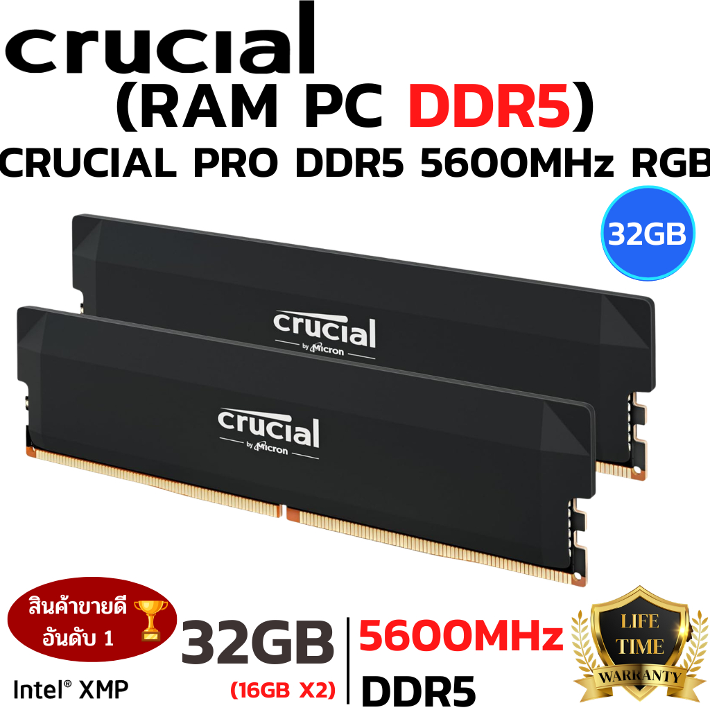 RAM DDR5 Crucial Pro OC 32GB (2x16GB) DDR5 5600MHz (หน่วยความจำ)