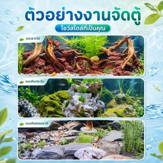 อ่างเลี้ยงปลา วัสดุประสานกาวหิน ของตกแต่งตู้ปลา ผงประสานกาวร้อน วัสดุประสานกาว 30g ปลอดสารพิษ กันน้ำ