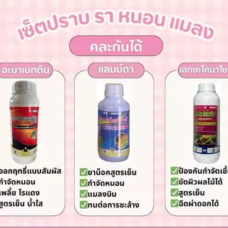 อะบา+เฮกซะ+แลมป์ดา ตัวเก่งสูตรเย็น ปราบ เพลี้ย หนอน แมลง เชิ้อรา ครบจบในชุดเดียว สำหรับการป้องกันและกำจัดแมลงและเชิ้อรา