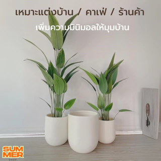 XU กระถางพลาสติก แต่งบ้านมินิมอล แต่งคาเฟ่(พร้อมส่งจากไทย)