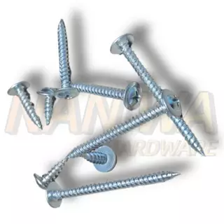 Naniwa สกรูหัวเวเฟอร์ ปลายแหลม สีขาว (100ตัว) (HJ) สกรูปลายแหลมหัวนูน