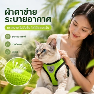 สายจูงแมว สายจูงสุนัข เชือกจูงแมว สายจูงหมา สายจูง สําหรับสัตว์เลี้ยง สุนัข แมว กระต่าย ขนาดเล็ก