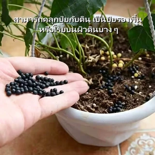 ปุ๋ยอินทรีย์เม็ด ปุ๋ยรองพื้นอินทรีย์เม็ด บำรุงดิน บำรุงราก เร่งการเจริญเติบโต เพิ่มผลผลิต ไม่ทำลายสิ่งแวดล้อม