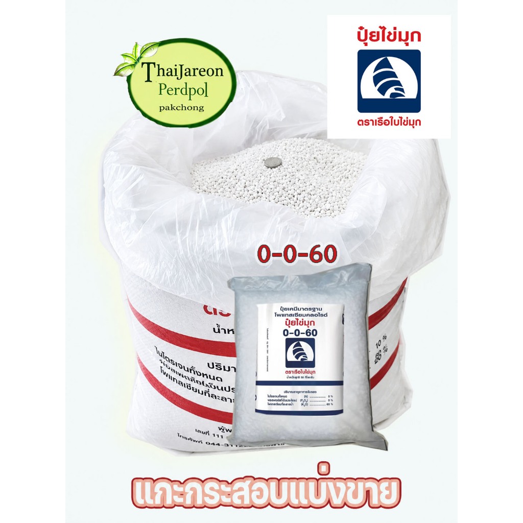 ปุ๋ยสูตร 0-0-60 ตราเรือใบไข่มุก แบ่งบรรจุ 5 กก ปุ๋ยเม็ด เร่งสีเร่งหวาน  สินค้าแบ่งขาย