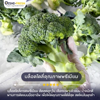 🛒Oishi-Fresh🥬บล็อคโคลี่ ปลอดสารพิษ 1 กก. รสชาติกรอบ สด ใหม่ ใยอาหารสูง หวานออร์แกนิค ผัก เคลมได้ 1-2 วัน