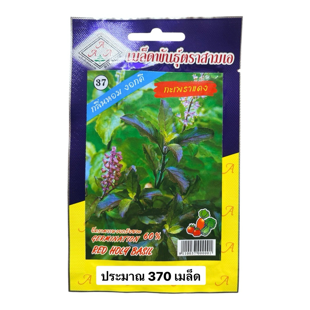 เมล็ด กะเพรา กระเพราแดง (ประมาณ 370 เมล็ด)