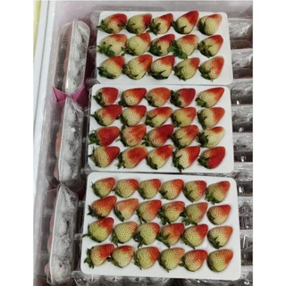สตอเบอรี่สด 🍓คัดก่อนส่งค่ะ🍓สด ใหม่ แข็งแรง เดินทางได้ค่ะ🔖