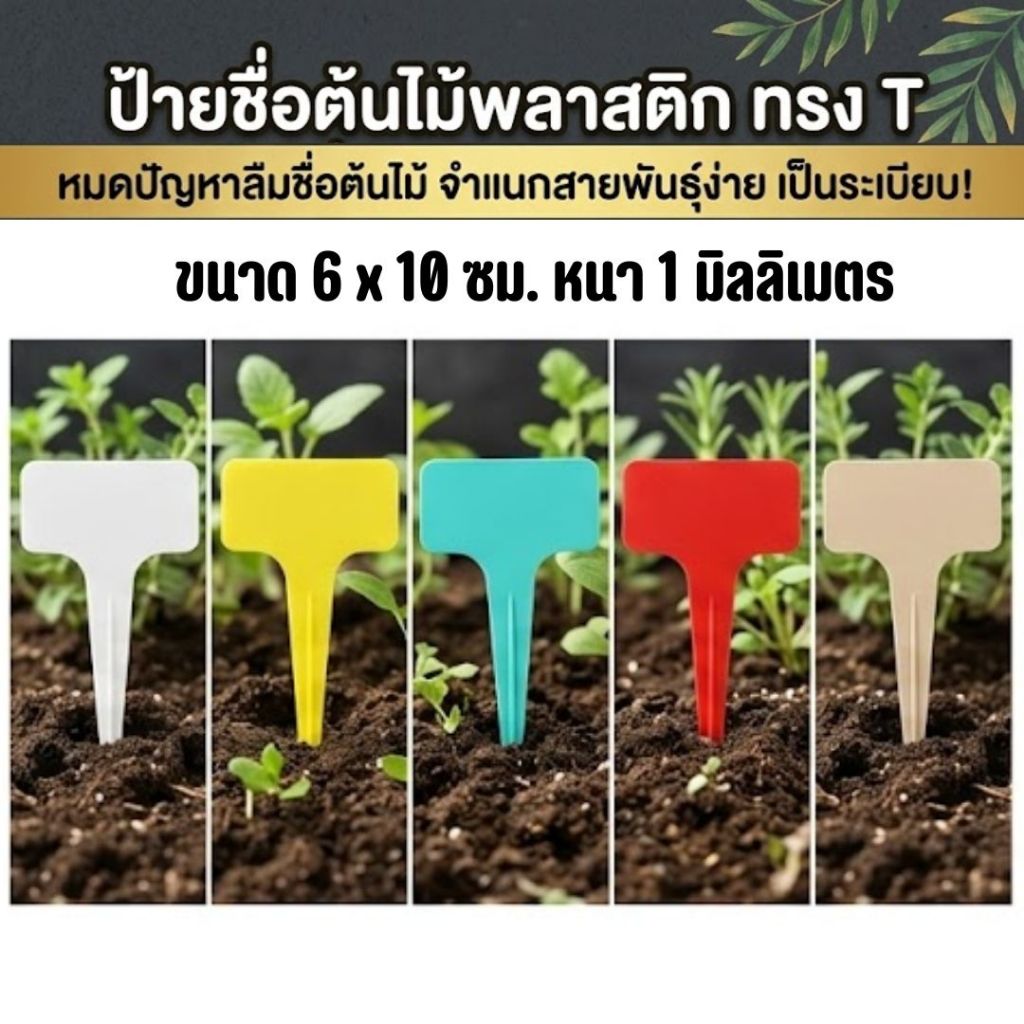 ป้ายชื่อต้นไม้ ทรง T ขนาด 6x10 ซม. หนาพิเศษ 1 มม. (แพ็ค 20 ชิ้น) ป้ายแท็กพลาสติกกันน้ำ ทนแดดทนฝน