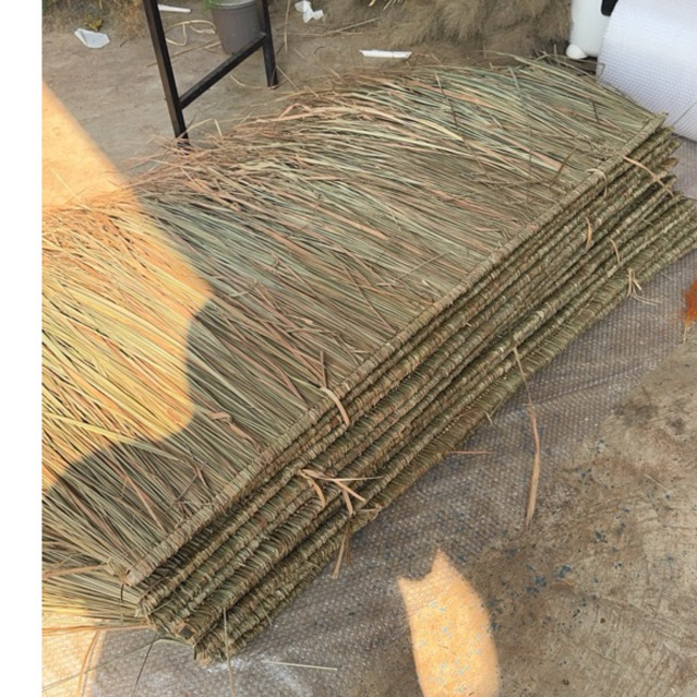 หญ้าคา แฝกมุงหลังคา หญ้าแฝกตับหญ้าคามุงหลังคาความยาว155 กว้าง40,-50cm มุงฟาร์มไก่ ฟาร์มเห็ด หรือรีสอร์ท แต่งคาเฟ่