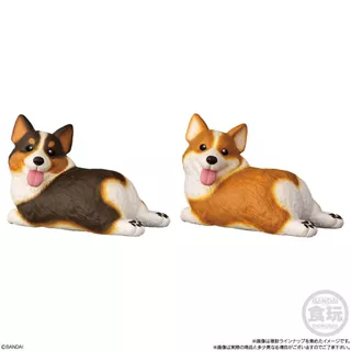 (พร้อมส่ง) MOCCHIRI KORORIN ♪ DOG - ฟิกเกอร์ Soft Vinyl น้องหมา (Bandai)