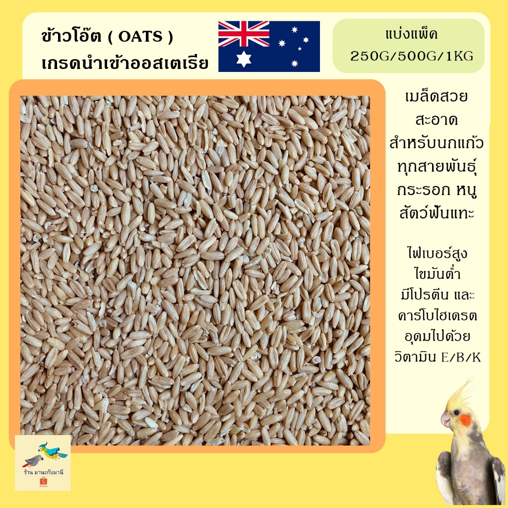 ข้าวโอ๊ตสำหรับนก เกรดออสเตรเลีย ( Hulled Oat )  ( แบ่งแพ็ค 250 กรัม / 500กรัม / 1กิโลกรัม )