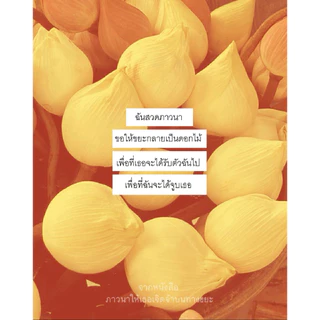พรัอมส่ง: #ภาวนาให้เธอเจิดจ้าบนทางขยะ
