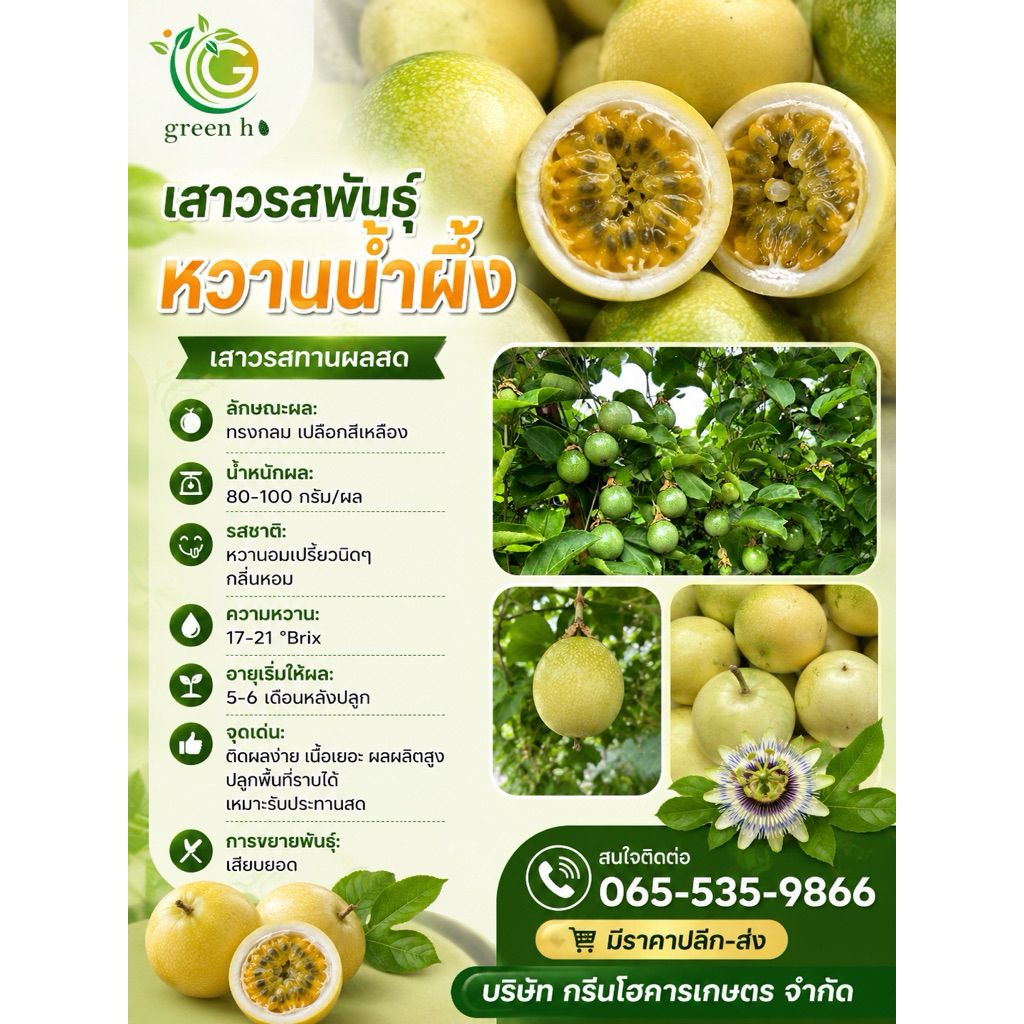 ต้นพันธุ์เสาวรสหวานน้ำผึ้ง เสาวรสน้ำผึ้ง จำนวน 5 ต้น  (ต้นเสียบยอด ปลอดโรค) รับประกันตรงตามสายพันธุ์ ไม่กลายพันธุ์