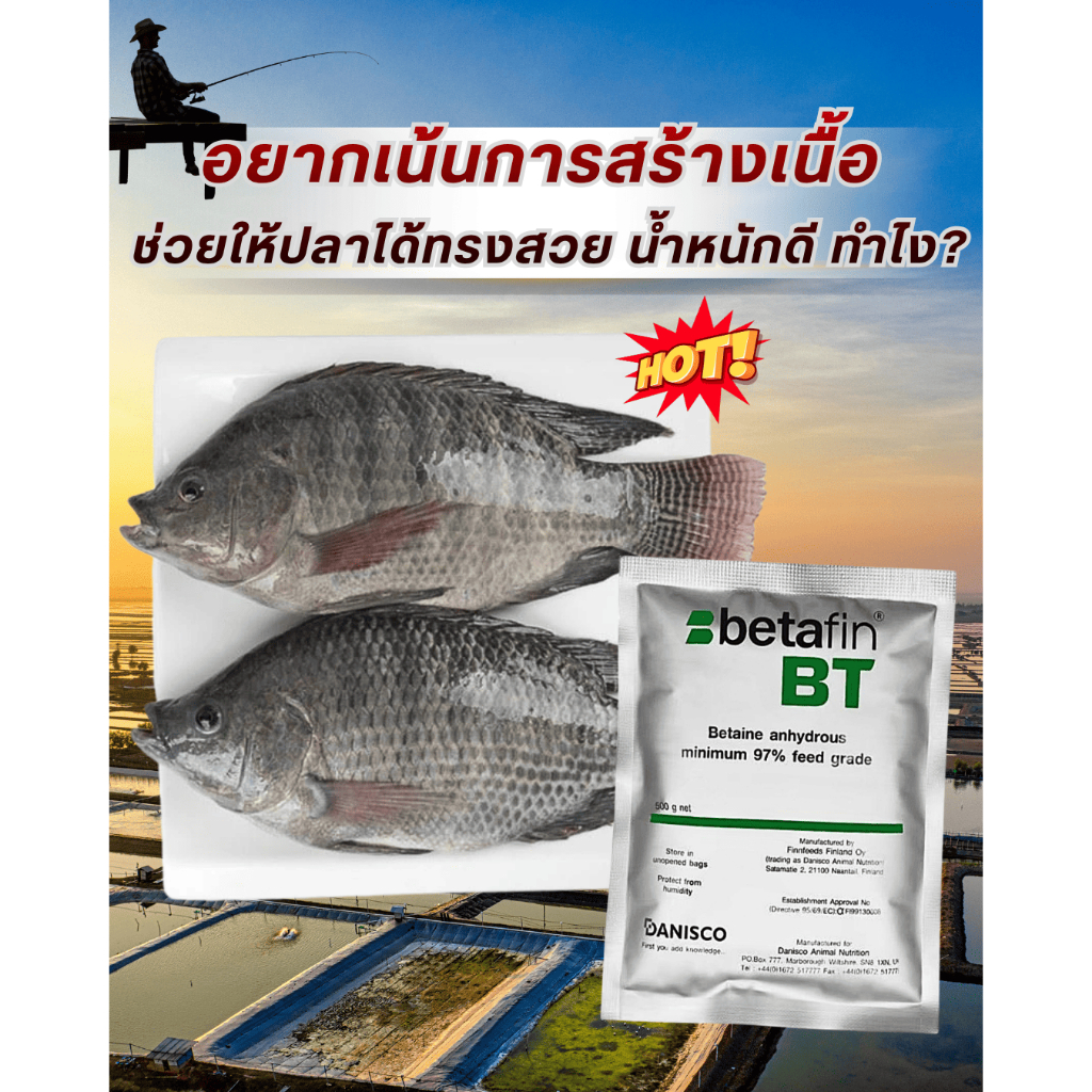 เบตาฟิน บีที (Betafin BT) เพิ่มน้ำหนักสัตว์ ขนาด 500 กรัม