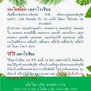 ชีวภัณฑ์บิวเวอเรีย บิวเวอร์เรีย เมตาไรเซียม เมทาไรเซียม เมธาไรเซียม บีที บิวต้าที เชื้อราป้องกัน กำจัด และควบคุมศัตรูพืช