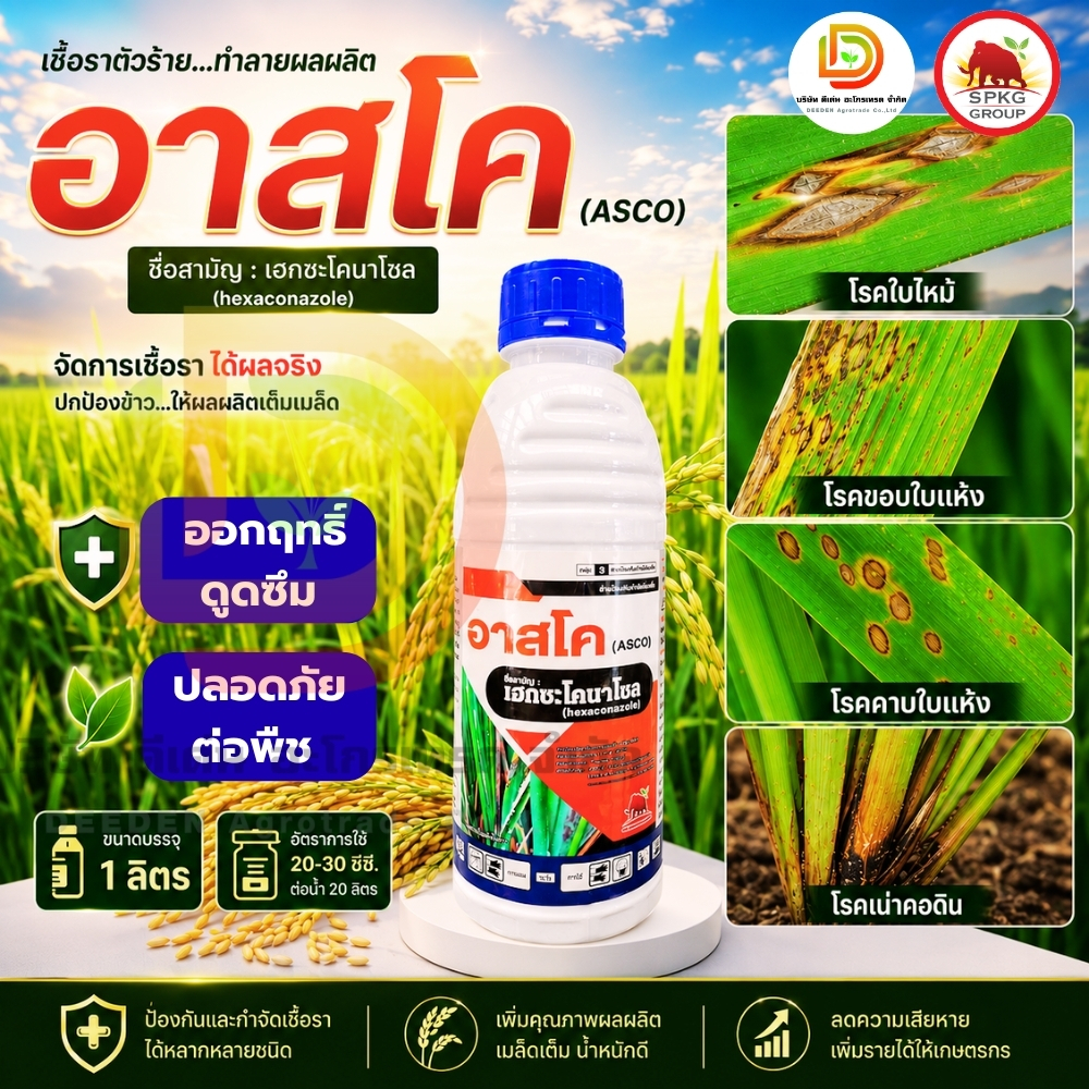#อาสโค #เฮกซะโคนาโซล ขนาด 1 ลิตร ป้องกันกำจัด ราแป้ง กาบใบแห้ง เมล็ดด่างในข้าว แอนแทรคโนส ใบจุดสีม่วง #แมมมอธแดง