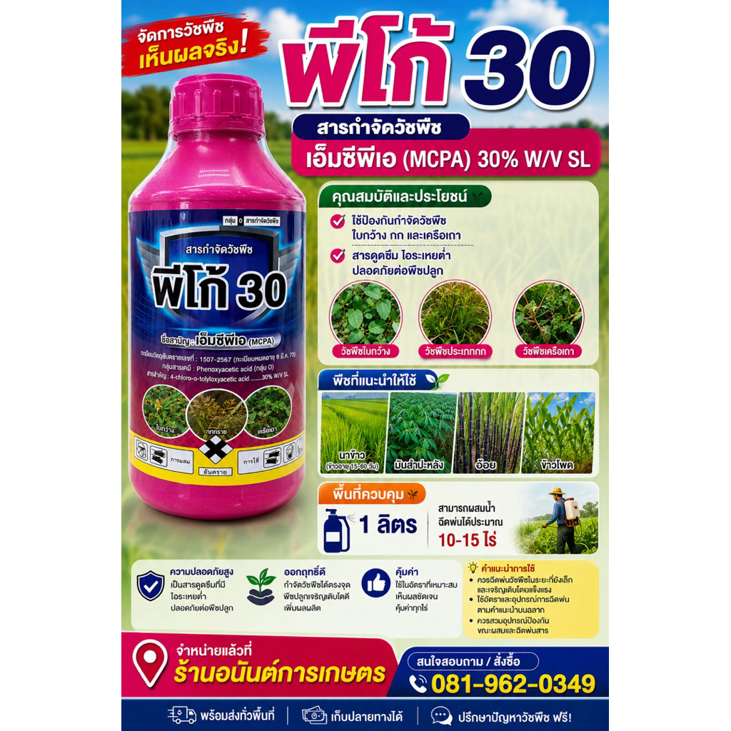 พีโก้30 เอ็มซีพีเอ (MCPA 30% W/V SL)นิยมใช้กำจัดวัชพืชประเภทใบกว้าง เช่น กก แห้วหมู ผักปอดนา และเครือเถาต่างๆ