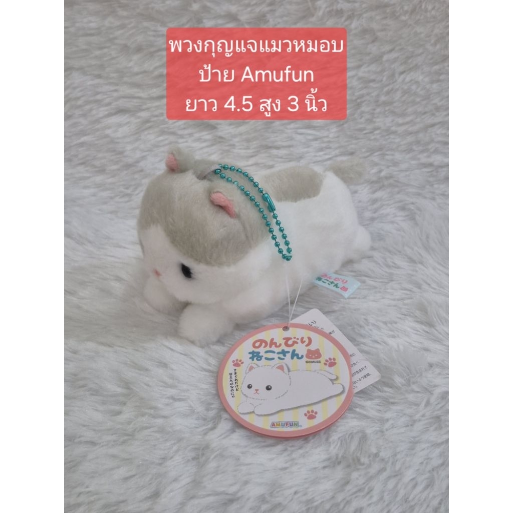 แมว ป้าย  Amufun น่ารัก