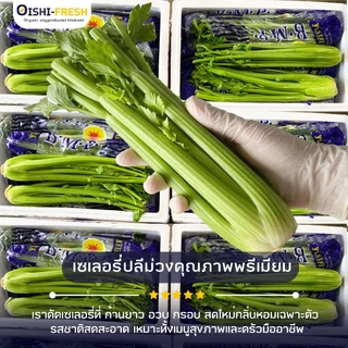 🛒Oishi-Fresh🥬เซเลอรี่ ปลอดสารพิษ 1 กก. รสชาติกรอบ สด ใหม่ ใยอาหารสูง หวานออร์แกนิค ผัก เคลมได้ 1-2 วัน