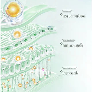 BODANA COCONUT OIL CREAM ครีมน้ำมันมะพร้าว 50g ครีมบำรุงผิวแห้ง มอยส์เจอร์ไรเซอร์ใช้ได้ทั้งตัว