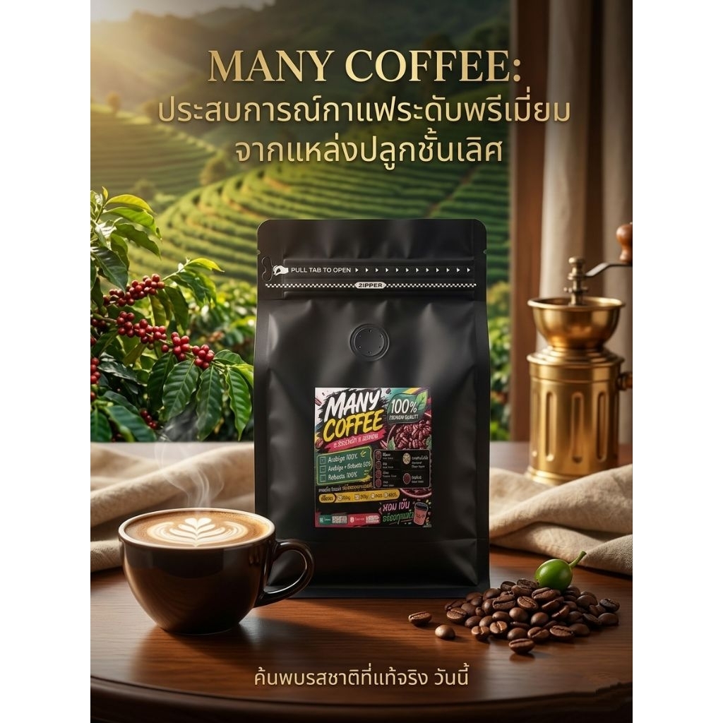 กาแฟคั่วอราบิก้า(Arabica)100% กาแฟสาร ขนาด 500g กาแฟเวียงป่าเป้า จังหวัดเชียงราย
