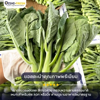 🛒Oishi-Fresh🥬คะน้าจีน ปลอดสารพิษ 1 กก. รสชาติกรอบ สด ใหม่ ใยอาหารสูง หวานออร์แกนิค เคลมได้ 1-2 วัน