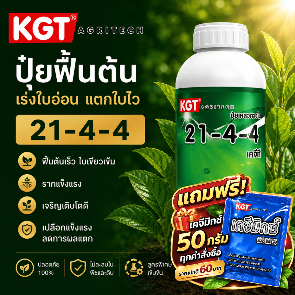 KGT ปุ๋ยน้ำฟื้นต้น 21-4-4 เร่งใบอ่อน แตกใบไว ปุ๋ยเหลว ขนาด 1 ลิตร