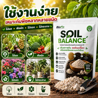 BioFix Soil Balance สารปรับปรุงดิน เติมแร่ธาตุ ปรับ pH ดิน แก้ดินเป็นกรด ปลูกอะไรก็งาม 100 g. โดโลไมท์