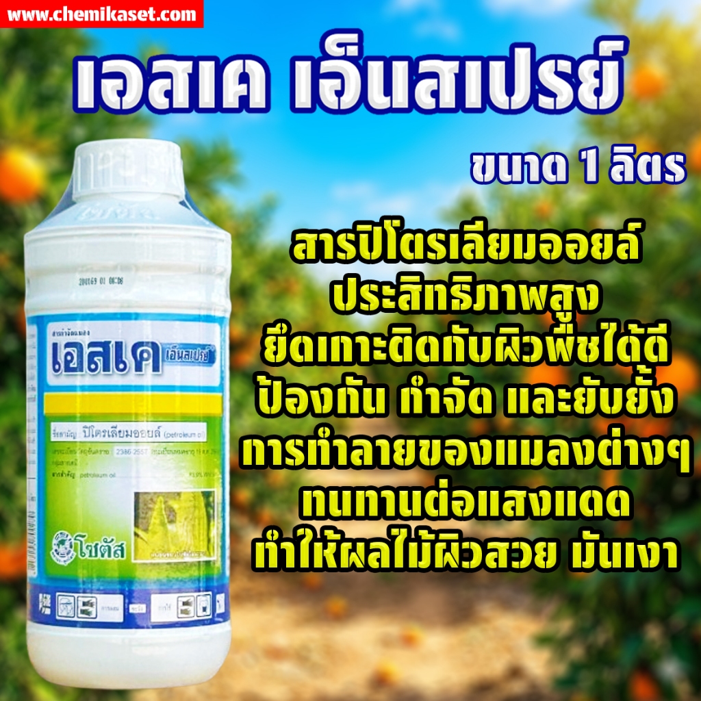 (ยกลัง12ขวด) เอสเค เอ็นสเปรย์ ขนาด 1 ลิตร สารเพิ่มประสิทธิภาพการกำจัดศัตรูพืช ปิโตรเลียมออยล์ โซตัส
