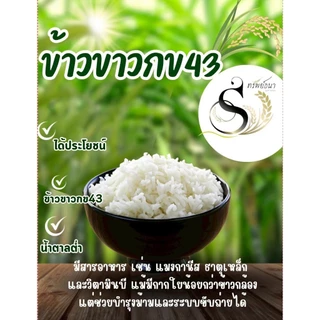 ข้าวขาวกข43 ตราทรัพย์ธนา ขนาดทดลอง500 กรัม คัดสรรคุณภาพจากโรงสีโดยตรง